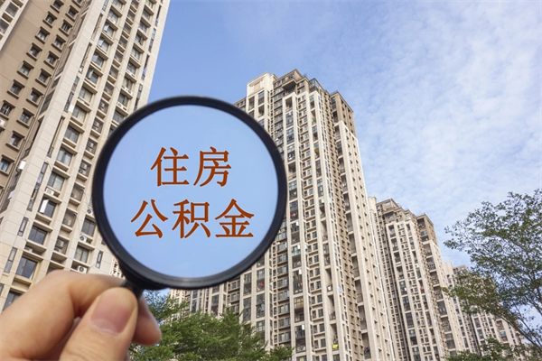 南安辞职了补充公积金能取不（辞职后补充公积金如何提取）